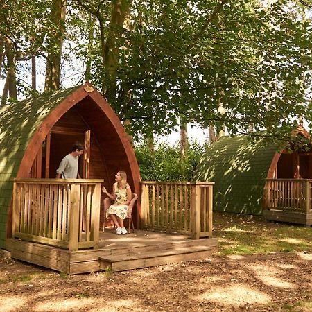 Pinewood - At Port Lympne Reserve Hythe  Extérieur photo