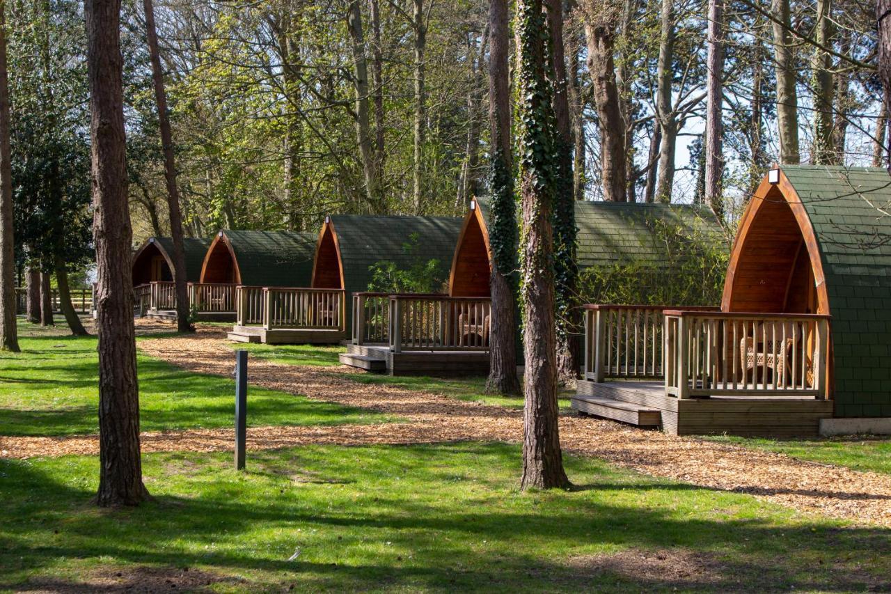 Pinewood - At Port Lympne Reserve Hythe  Extérieur photo